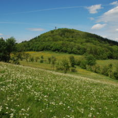 Pfingstmontag, 10. Juni: Naturerlebnis Geisingberg!