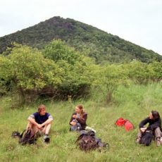Wiesenmahd im Böhmischen Mittelgebirge vom 8.-10.9. – Abschied vom Lipská hora?