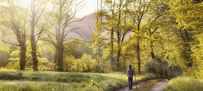 Entdeckungstour in Feld und Wald – Wanderung für Familien