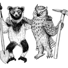 Ebereschen am Kahleberg pflanzen für Regenwalderhalt in Madagaskar