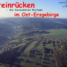 Steinrücken-Vortrag am Donnerstag, 28. März 2019, im Dippser Grüne-Liga-Büro