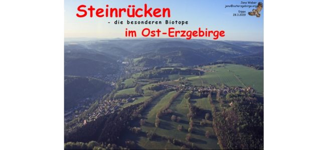Steinrücken-Vortrag am Donnerstag, 28. März 2019, im Dippser Grüne-Liga-Büro