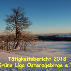 Tätigkeitsbericht 2018 und Jahresversammlung