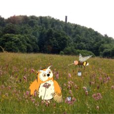 Auf neuen Entdeckungsreisen mit Ulli Uhu und seinen Bubo Buben!