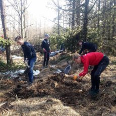 Altenberger Madagaskar-AG pflanzt 500 neue Ebereschen am Kahleberg