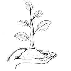 Endlich mal etwas Neues im Garten – Samentauschbörse