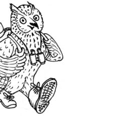 „Achat, Aronstab und Apfelallee“ – die Grüne Liga Osterzgebirge lädt ein zu einer Naturkundlichen Frühlingswanderung zwischen Schlottwitz und Cunnersdorf – am Sonntag, den 7. April.