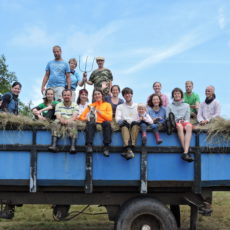 Deutsch-tschechisches Heuhoj-Camp geht in sechste Runde