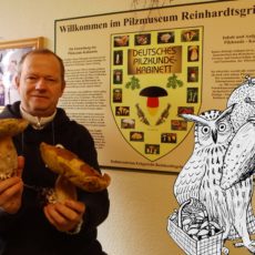Pilzaufklärung statt Pilzvergiftung – das Pilzmuseum Reinhardtsgrimma ist wieder geöffnet
