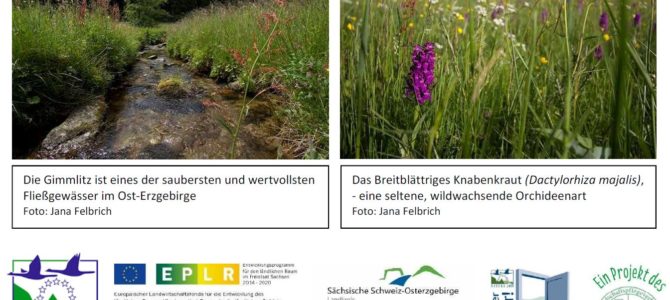 Führung durch das Natur- und Wanderparadies Gimmlitztal