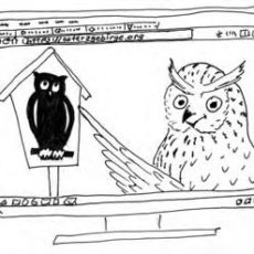 Schutzgebiete des Ost-Erzgebirges im Internet