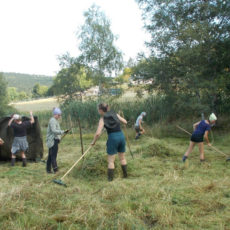 NATURA 2000 Gebietsbetreuung: Bergwiesen um Schellerhau und Altenberg