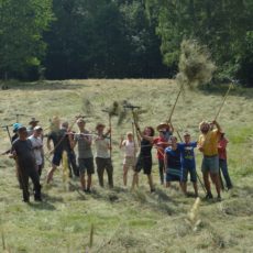 Heulager-Rückblick 2019