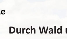 LandPartie-Wanderung „Durch Wald und über Erz“