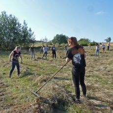 Schülereinsatz in Zinnwald
