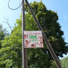 ein aktuelles Bild aus dem Bielatal …