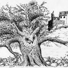 Natur(a) lebendig – Das FFH-Gebiet Müglitztal