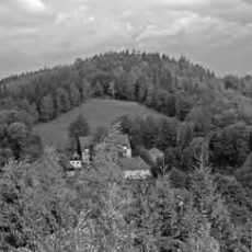NATURA 2000 Gebietsbetreuung: Pöbelbachtal und Hofehübel