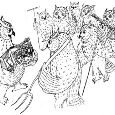 Rückblick aufs Schellerhauer Naturschutzpraktikum 2019