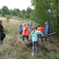 Fünftklässler für Feuerlilien