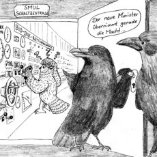 Grüne Regierungsbeteiligung in Sachsen – Hoffnung für die Biologische Vielfalt?!?