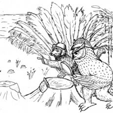 Vaovao-Abende in Bärenstein (26.2.) und in Dresden (27.2)