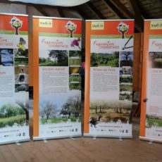 Wanderausstellung „Faszination Streuobstwiese“