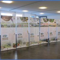 Wanderausstellung „Natur(a) 2000 im Landkreis Sächsische Schweiz-Osterzgebirge in Dresden