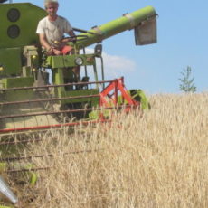 Getreide von der Johannishöhe