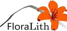 FloraLith-Abschlusskonferenz: online am 25. März