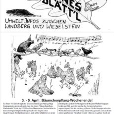 Grünes Blätt’l 03/2020