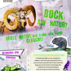 Natur(a) 2000-Kreativ-Wettbewerb des LPV für alle Oberschüler und Gymnasiasten