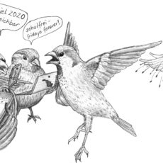 Breaking News: Corona-Ursache ermittelt!