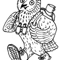 Naturkundliche Wanderungen mit der Grünen Liga Osterzgebirge 2021