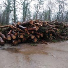 Denkwerkstatt zum Thema Klimaanpassung