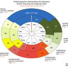 Frühlingsdürre: April, April – jetzt stehen auch die Wolken still