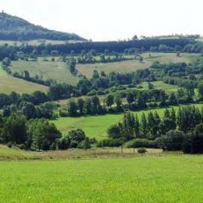 NATURA 2000 Gebietsbetreuung: Geisingberg und Geisingwiesen