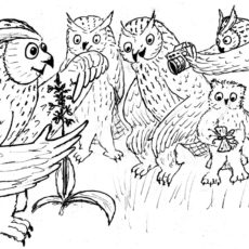 Pfingstmontag: kein Infostand der Grünen Liga auf dem Geisingberg, aber zumindest zwei der angekündigten Spaziergänge