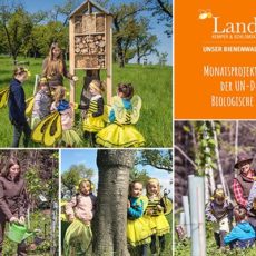 Unser Bienenwald Sachsens – gemeinsam haben wir es geschafft!