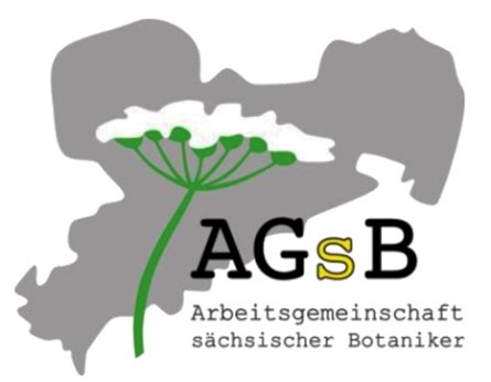 Aktueller Rundbrief der Arbeitsgemeinschaft Sächsischer Botaniker (Auszug): Dringend Funddaten zu den Artenkorb-Arten 2020 an die Regionalverantwortlichen weitergeben!