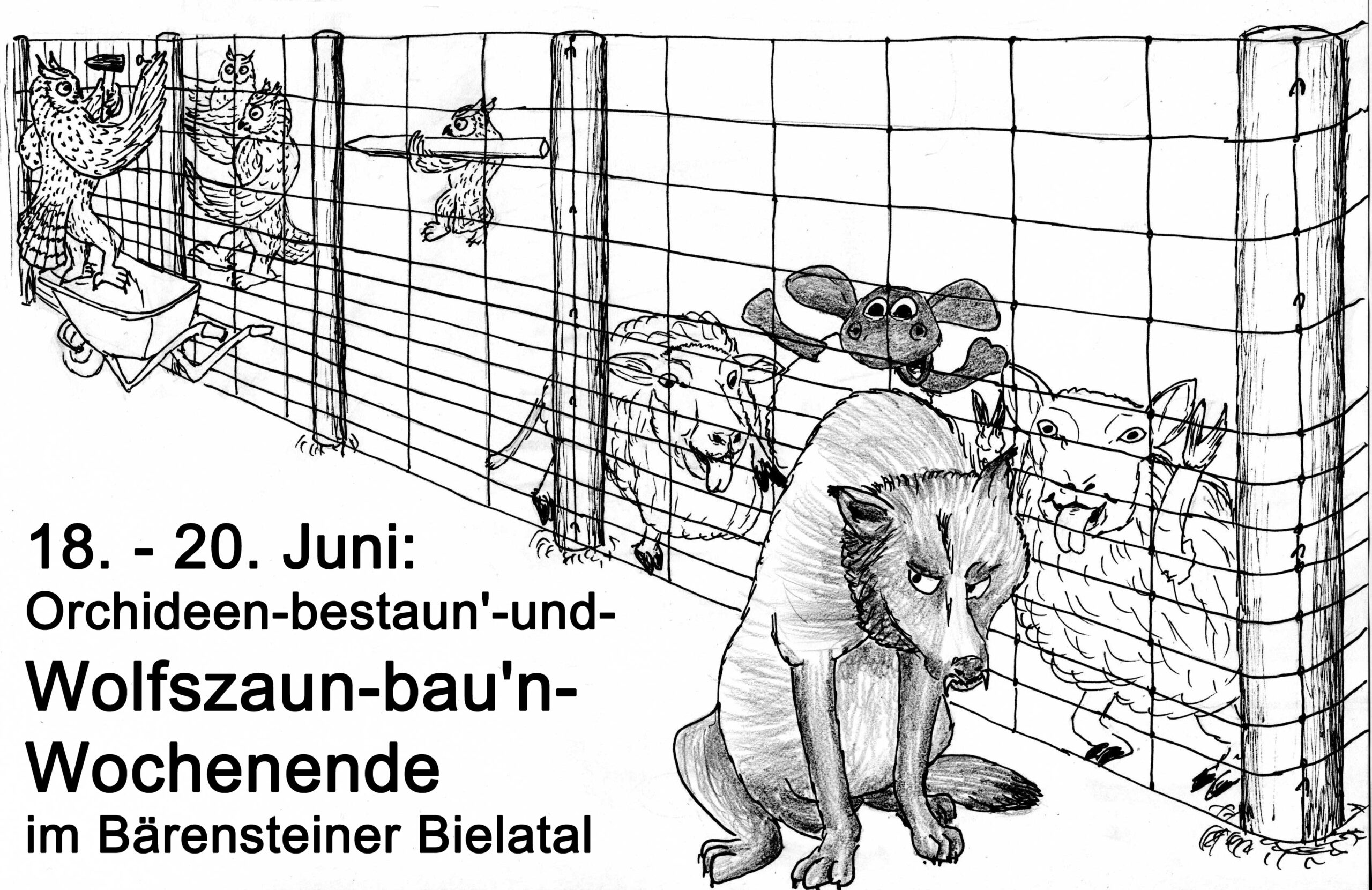 18. – 20. Juni: Orchideen-bestaun’-und-Wolfszaun-bau’n-Wochenende