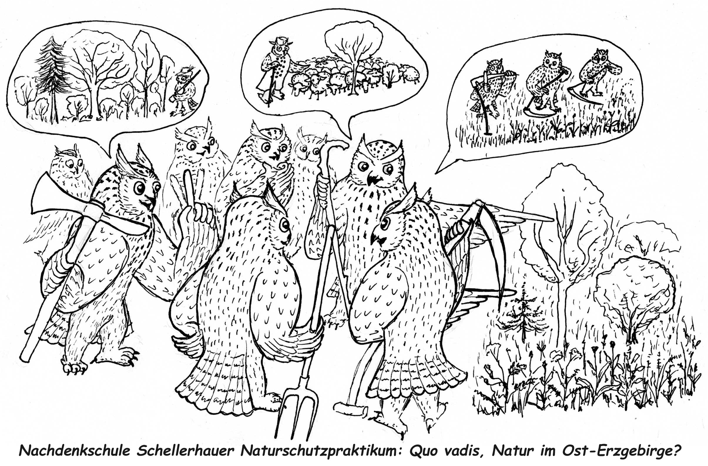 Schellerhauer Naturschutzpraktikum 6. bis 13. August und Zusatzpraktikum “Internationales Praxisseminar Naturschutz” 20. bis 26. August