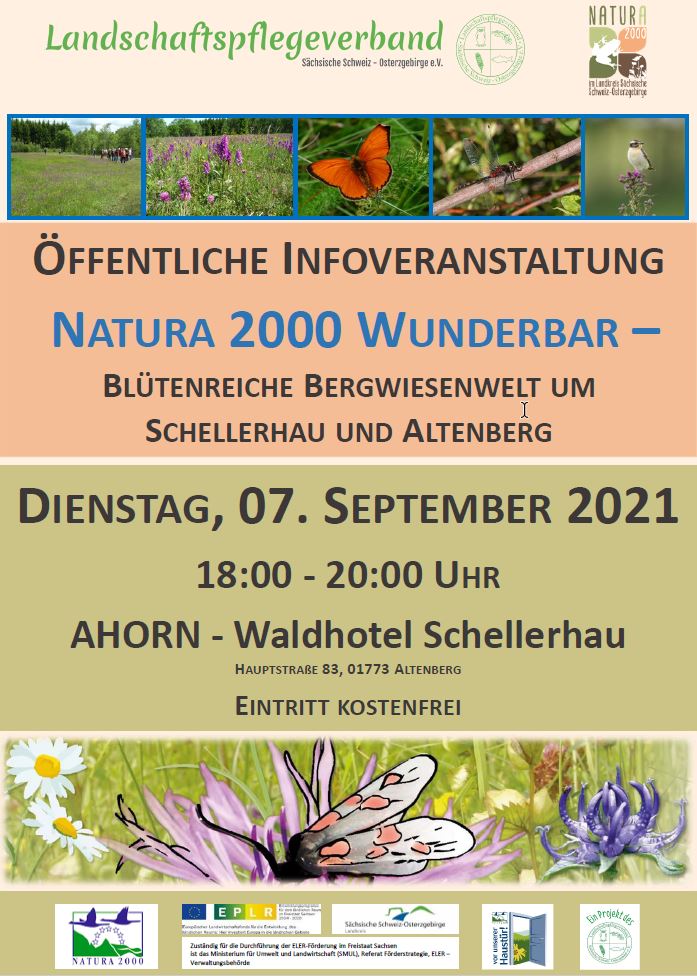 Öffentliche Infoveranstaltung Natura 2000 Wunderbar – Blütenreiche Bergwiesenwelt um Schellerhau und Altenberg