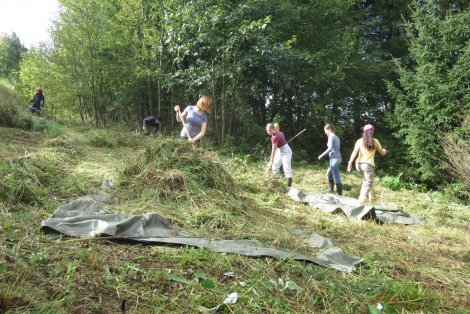 Jugendgruppe pflegt “Wiese an der Bahnlinie” in Altenberg