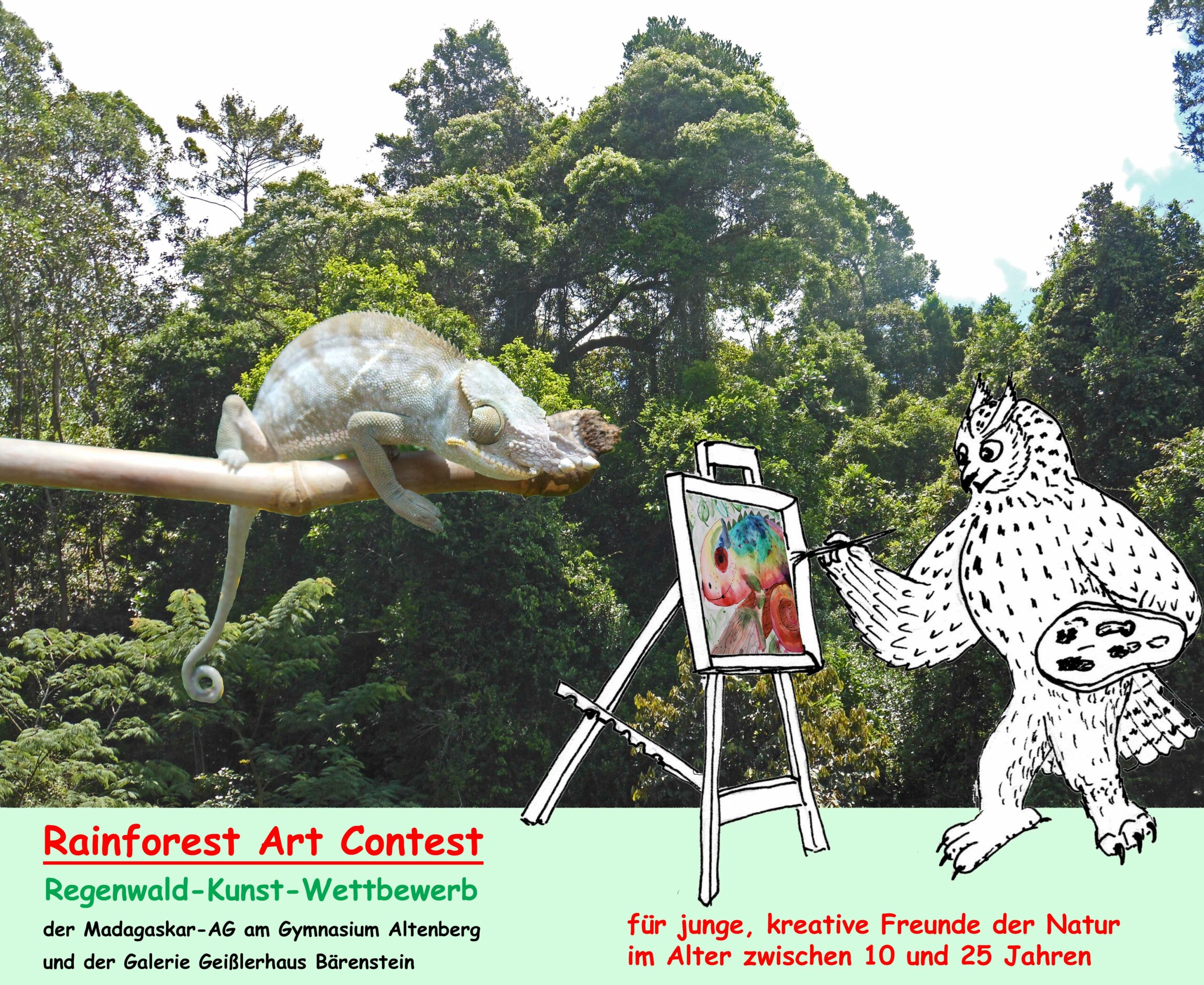 Regenwald-Kunst-Wettbewerb 2022