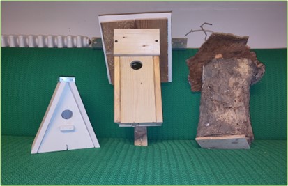 Holzwerkstatt für den Vogelschutz – Praxiskurs für Junge Naturwächter ab 10 Jahren