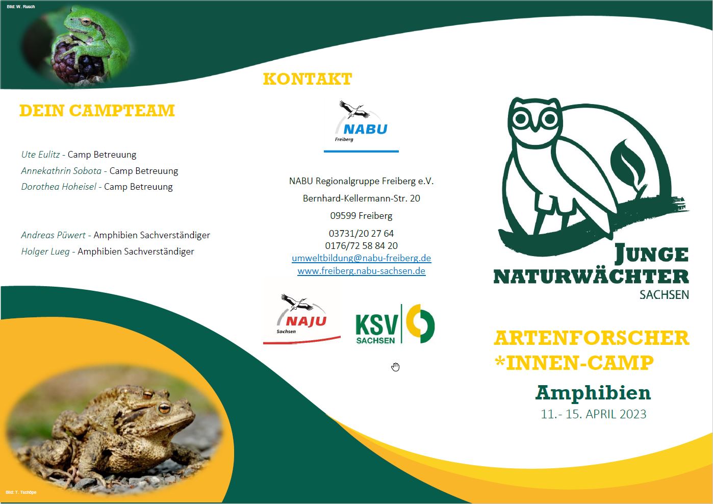 Frösche & Co. in Not – Amphibien brauchen deine Hilfe! JuNa-Artenforscher*innen-Camp 11.-15. April 2023