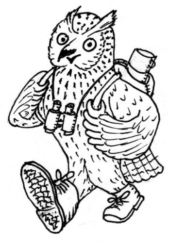 Wandertage im Wonnemonat 2026