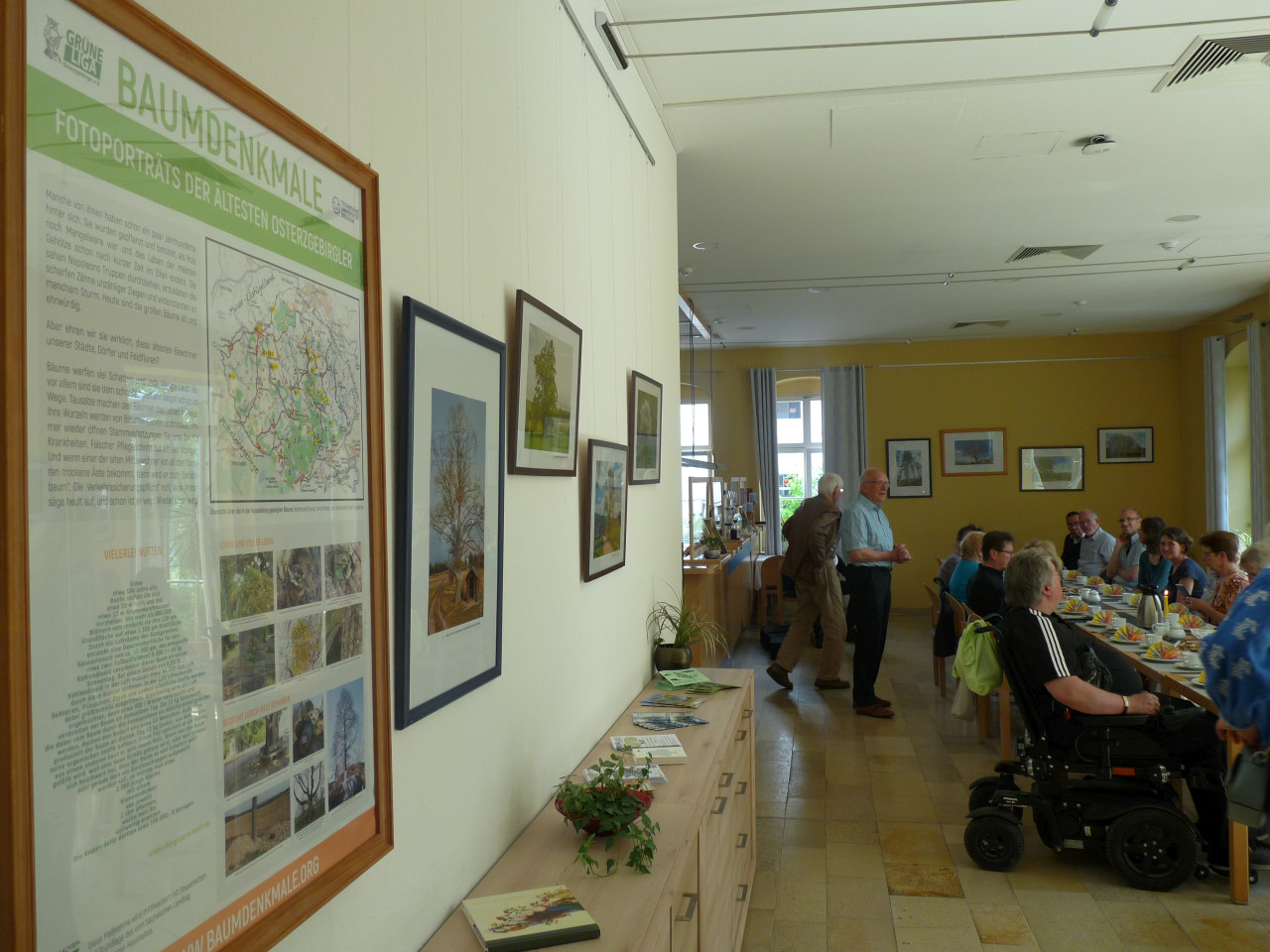 Baumdenkmal-Fotoausstellung in Freiberg eröffnet