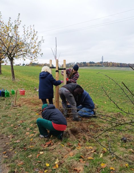 30 Bäume mit 40 Freiwilligen in Dobra gepflanzt